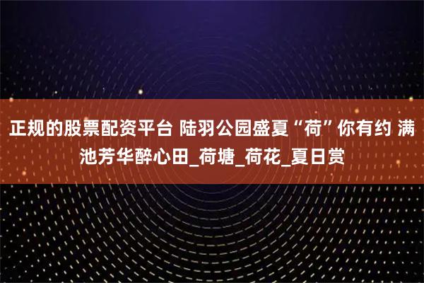 正规的股票配资平台 陆羽公园盛夏“荷”你有约 满池芳华醉心田_荷塘_荷花_夏日赏